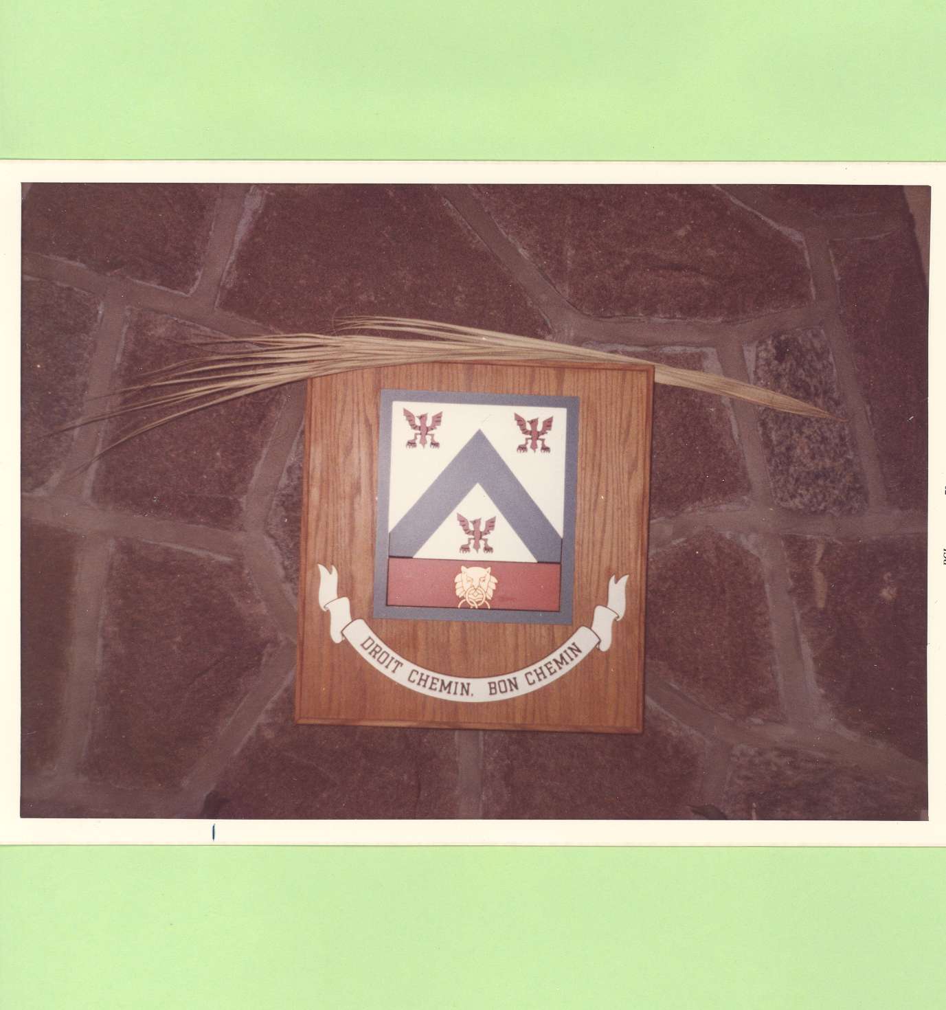 PatelinLeroux-05-1979-AfficheCot�-2